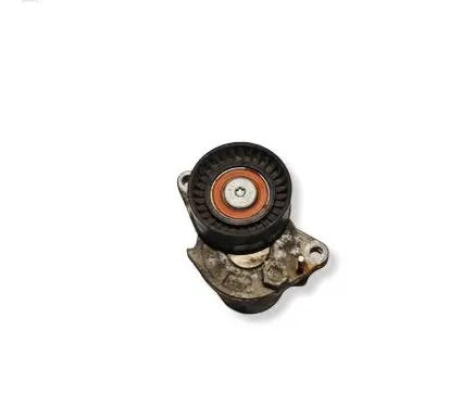 Renault Trafic III (X82) Alternator belt tensioner 117305331R