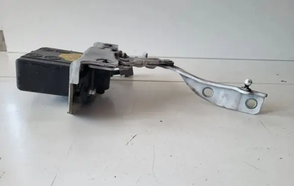 Hyundai Santa Fe Engine bonnet/hood hinges 791602W000