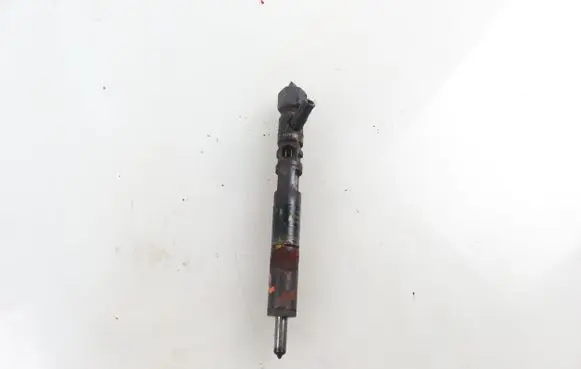 Ford Focus Fuel injector EJBR02201Z 2T1Q9F593AA