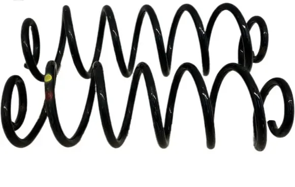 Rear coil spring