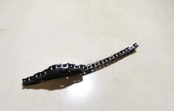 Ford Focus Timing chain (engine) 