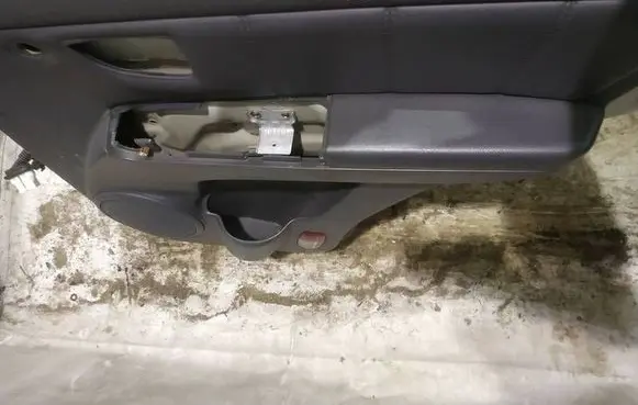 KIA Sorento Rear door card panel trim 