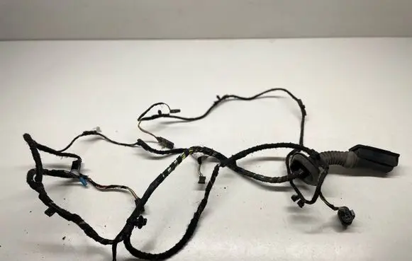 BMW X1 F48 F49 Front door wiring loom 9365351
