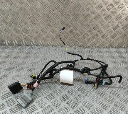 Tesla Model 3 Other wiring loom 156796100A
