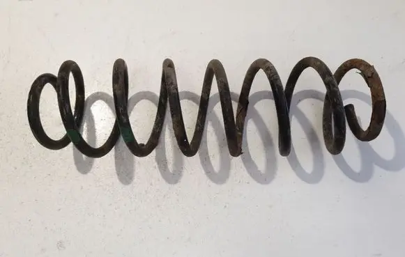 Rear coil spring