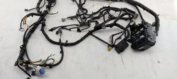 Honda Civic Wiring harness 09SMGE02