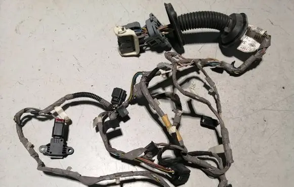Ford Mustang V Front door wiring loom DR3T14630AE CT4314C676AA