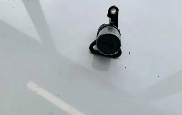 Dodge Journey Front door lock (next to the handle) 312739