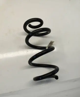 Rear coil spring