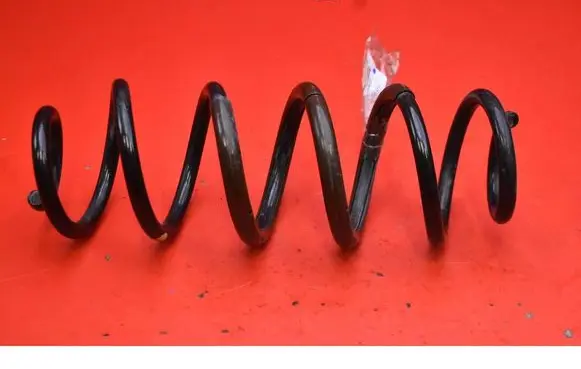 Rear coil spring