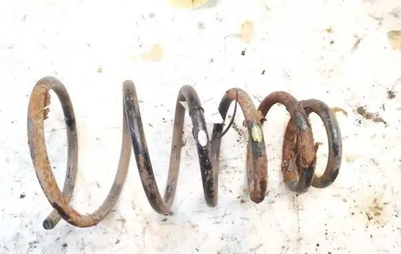 Rear coil spring