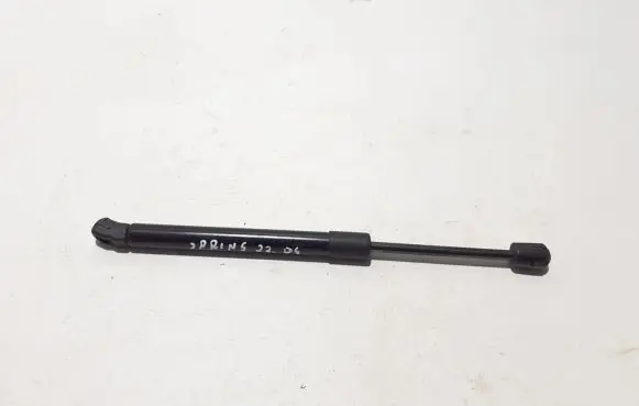 Tailgate strut