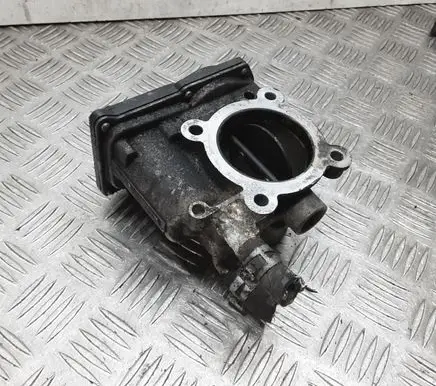 Throttle body valve