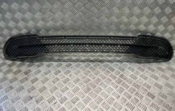 BMW X1 E84 Front bumper lower grill 2991506