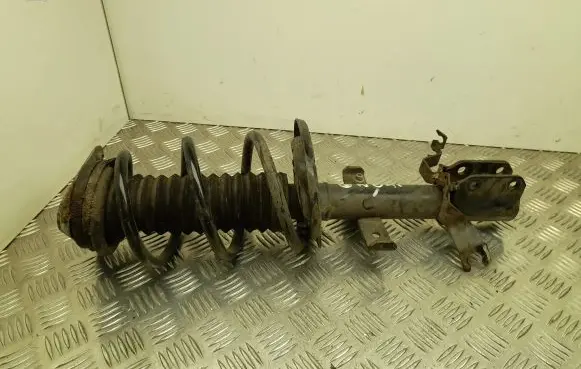 Renault Zoe Front shock absorber with coil spring