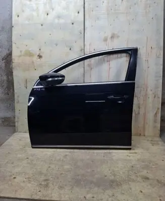 Volkswagen PASSAT B7 Front door