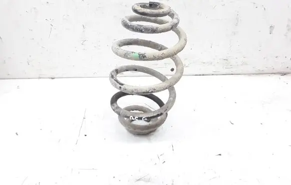 Volkswagen PASSAT B5 Rear coil spring
