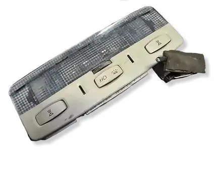 Renault Laguna II Front seat light 8200003036