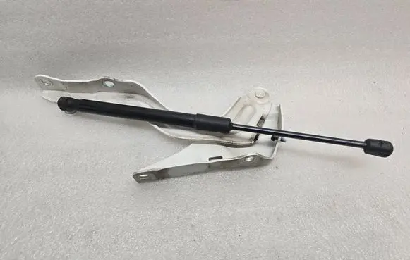 KIA Sorento IV Engine bonnet/hood hinges 81161P2000