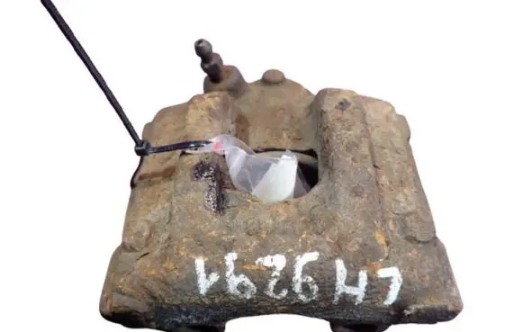 MG ZT - ZT-T Rear brake caliper