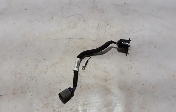 Chrysler Pacifica Other wiring loom 38018727