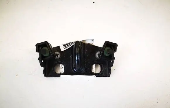 Peugeot 207 Rear door lock loop/hook striker 