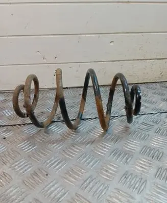Rear coil spring
