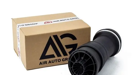 Mercedes-Benz R AMG W251 Rear air suspension bag/shock absorber 2513200325 2513200025 251320042564