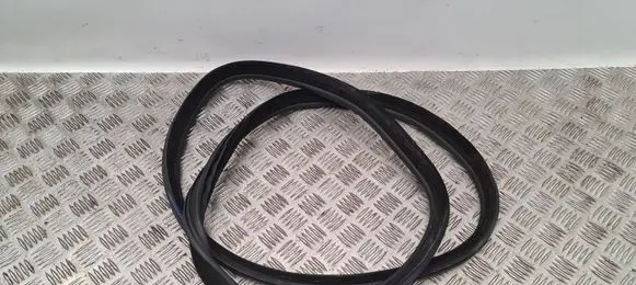 BMW 4 F32 F33 Rear door rubber seal (on body) 7401894