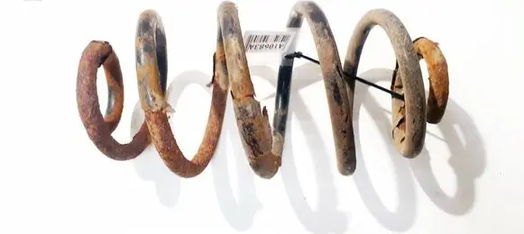 Rear coil spring