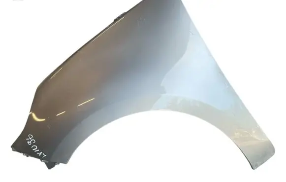 Renault Scenic III - Grand scenic III Fender