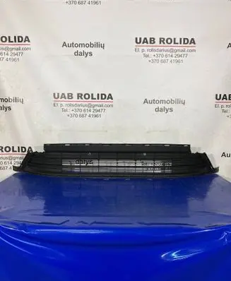 Toyota RAV 4 (XA40) Front bumper lower grill 
