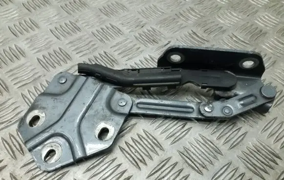 Volkswagen Touran I Tailgate/trunk/boot hinge 1T0823302