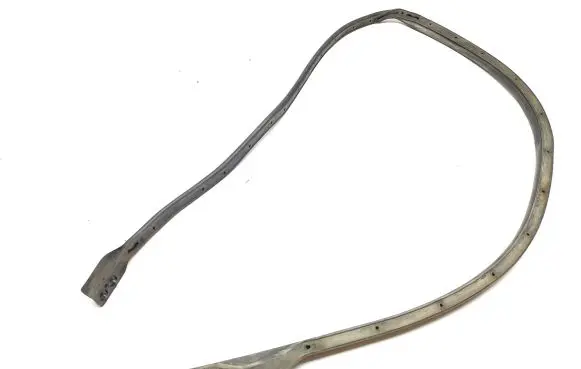 Citroen DS5 Rubber seal front door (on door) 