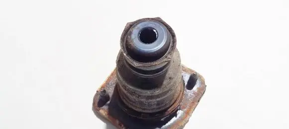 Coil spring mount