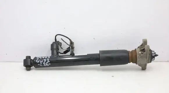 BMW Z4 g29 Rear shock absorber/damper 6895296 75689529601 E3416301