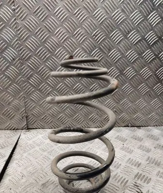 Rear coil spring