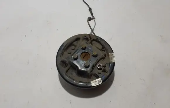 Dacia Spring Rear brake disc plate dust cover 440000592R