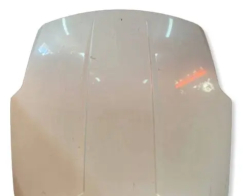 Nissan 350Z Engine bonnet/hood HAMU4079754