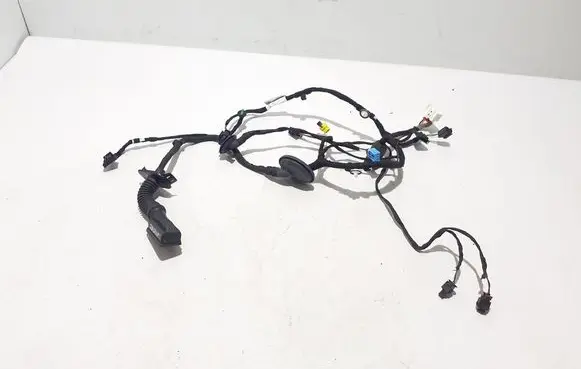 Audi Q8 Other wiring loom 4M8971030EN