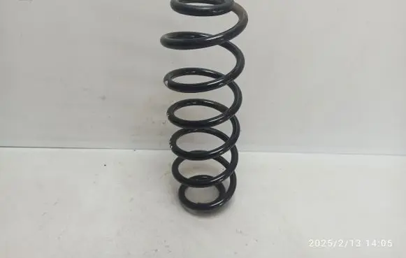 Volkswagen Golf VI Rear coil spring