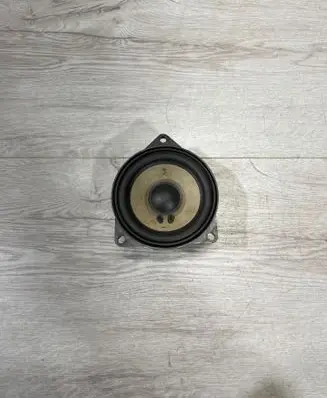 Panel speaker