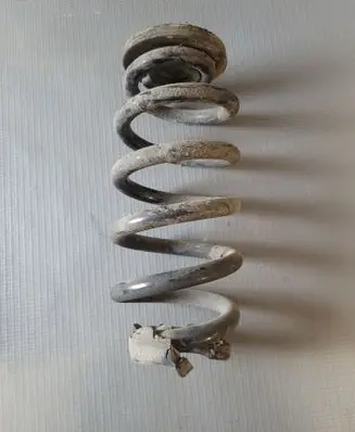 Rear coil spring