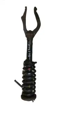 Honda Accord Front shock absorber with coil spring NOCODE