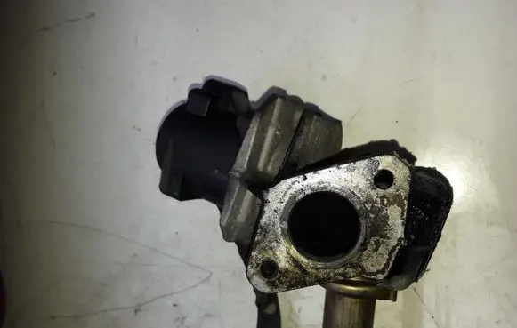 Ford Focus EGR valve