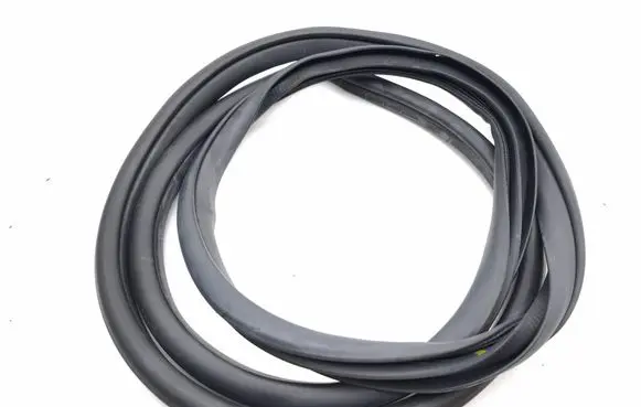 Toyota C-HR I Rubber seal rear door