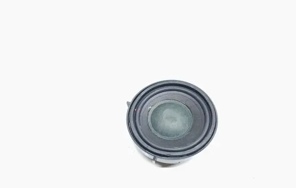 Panel speaker