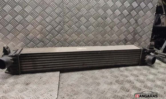Opel Vivaro Intercooler radiator 53144431
