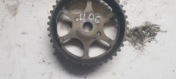 Peugeot 406 Fuel pump gear (pulley) 