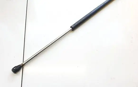 Tailgate/trunk strut/damper